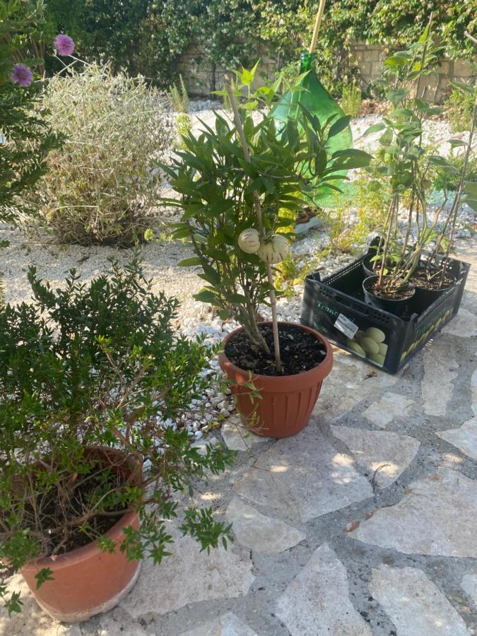 Apulia Casa E Cucina Bed & Breakfast Trani Eksteriør bilde